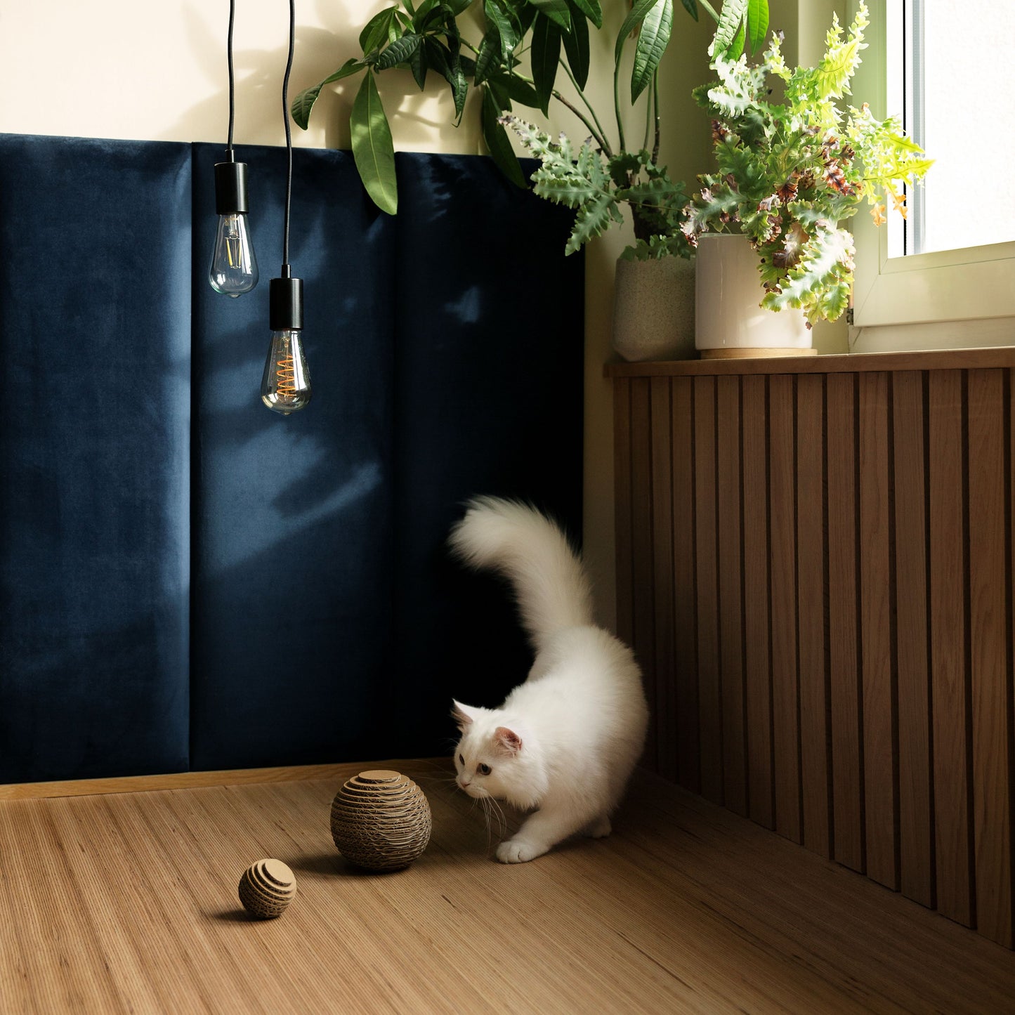 Katze spielt mit Ball
