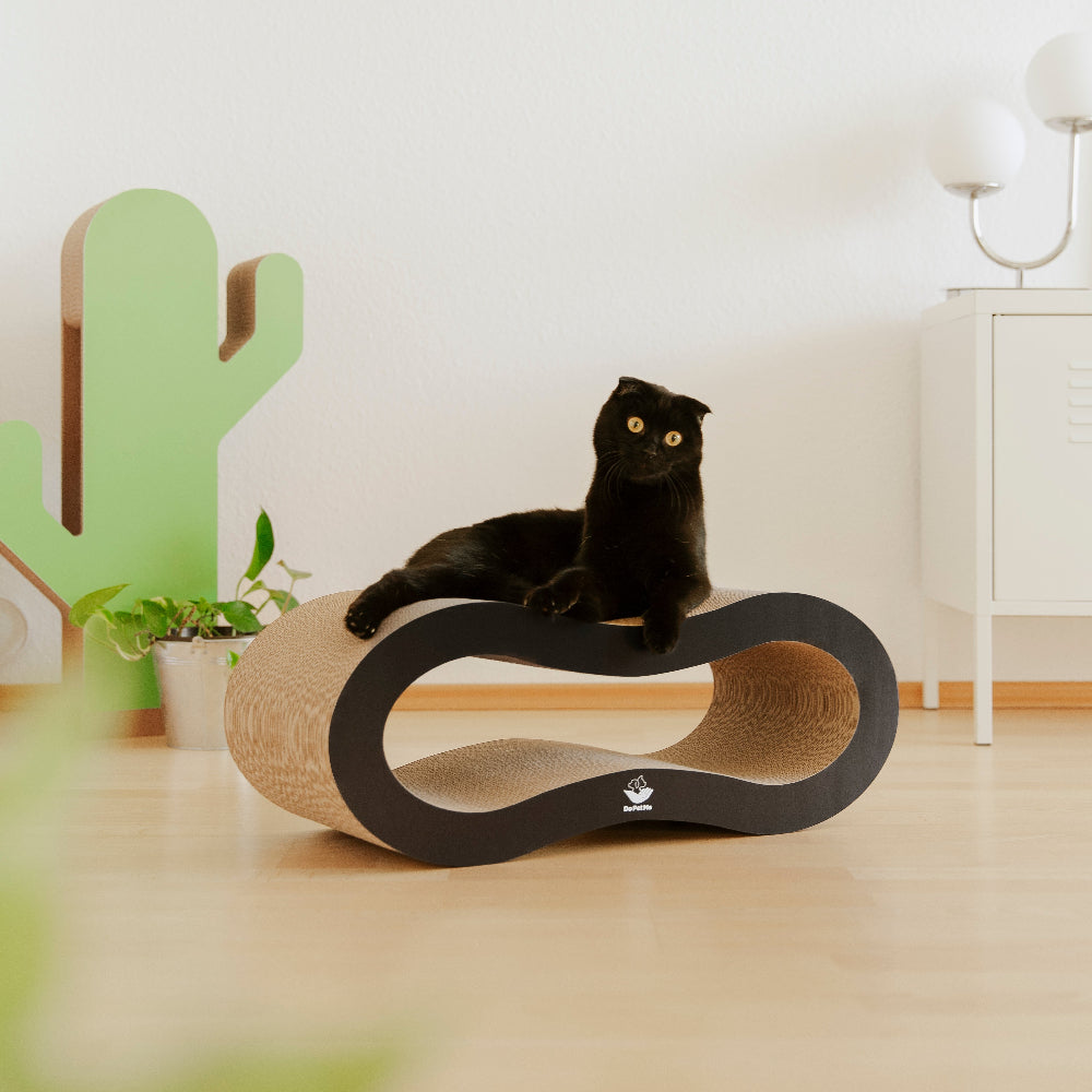 Schwarze Katze auf stylischem Kratzmöbel aus Wellpappe in modernem Wohnzimmer