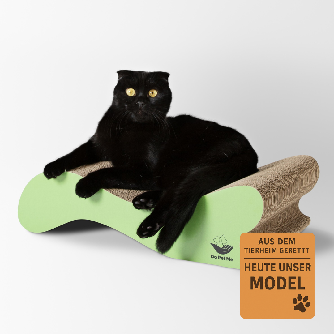 Kratzmöbel Relax Wave