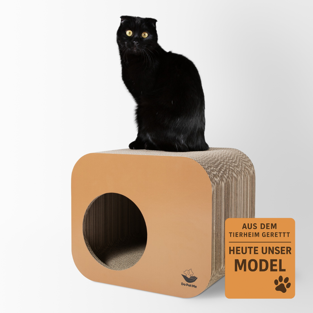 Kratzmöbel Scratching Cube