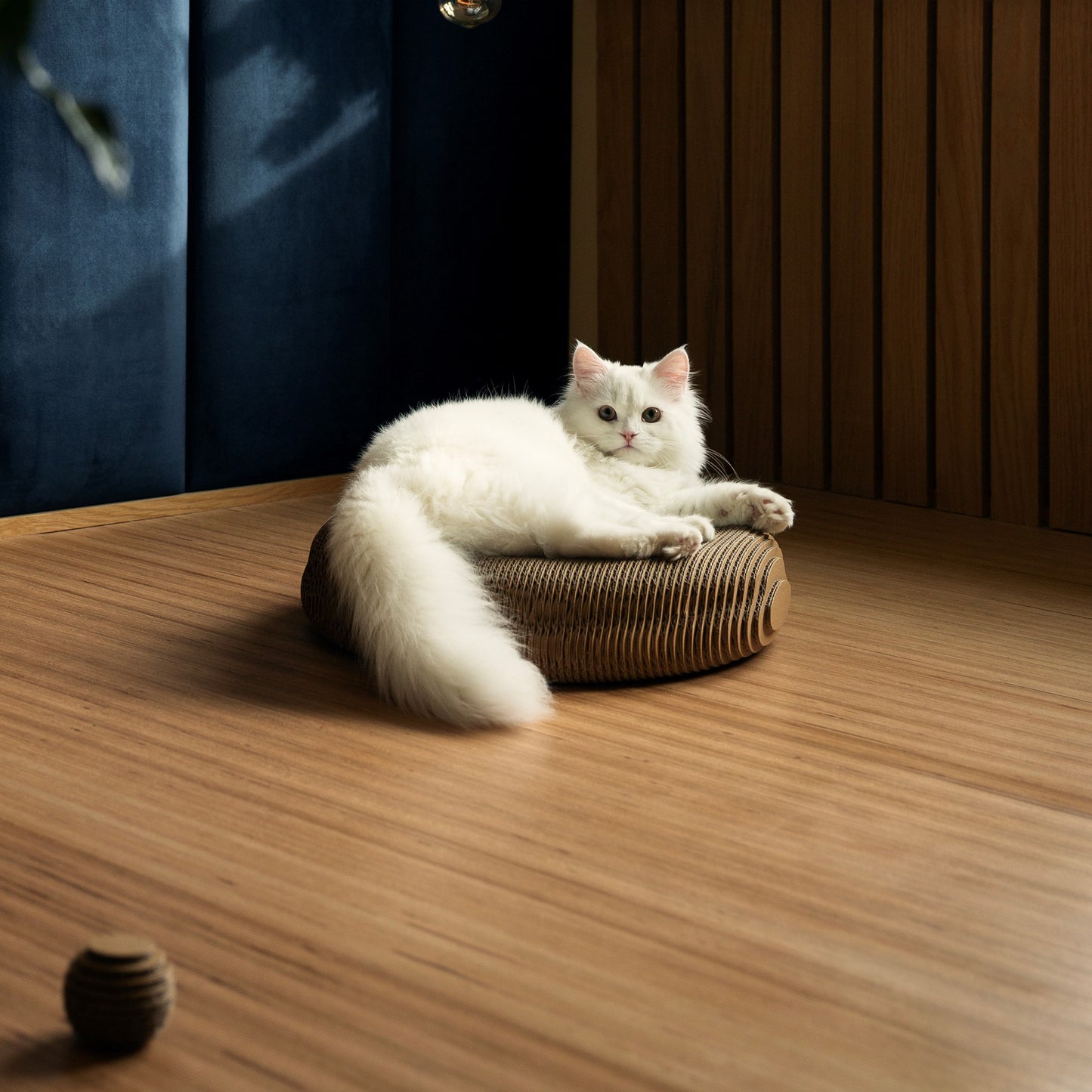 Katzenbett Kuschelig