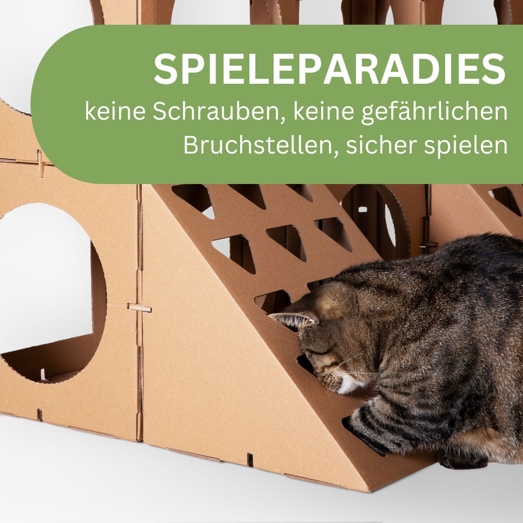 Katze spielt am Katzenhaus