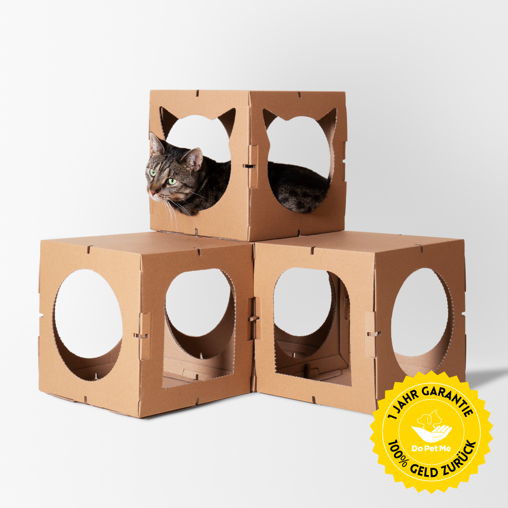 Katzenhaus für Kätzchen
