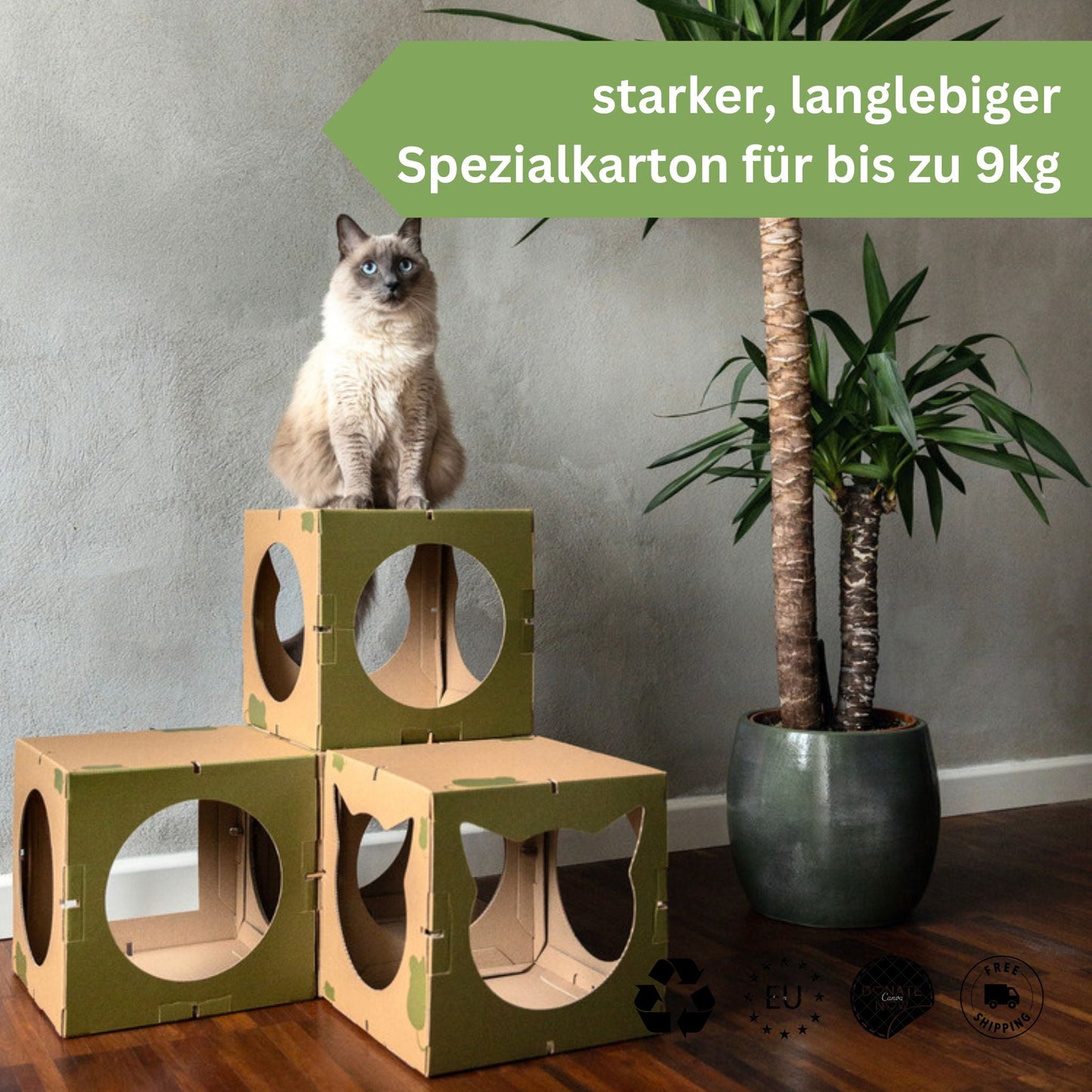 Katzenhaus Kitten Castle