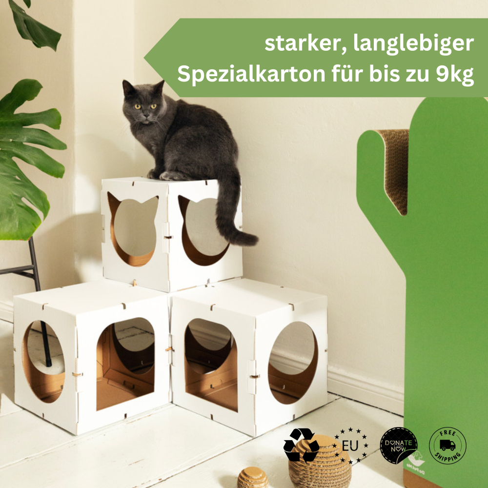 Katzenhaus für Kätzchen