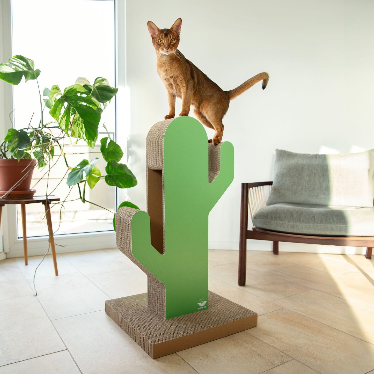 Katze steht auf einem Kratzbaum