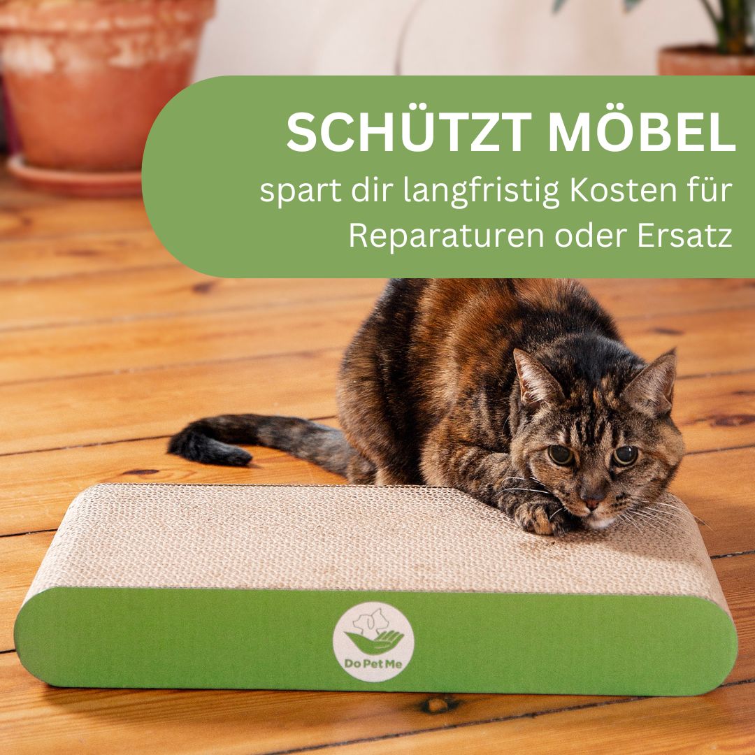 Katze kratzt auf dem Kratzbrett