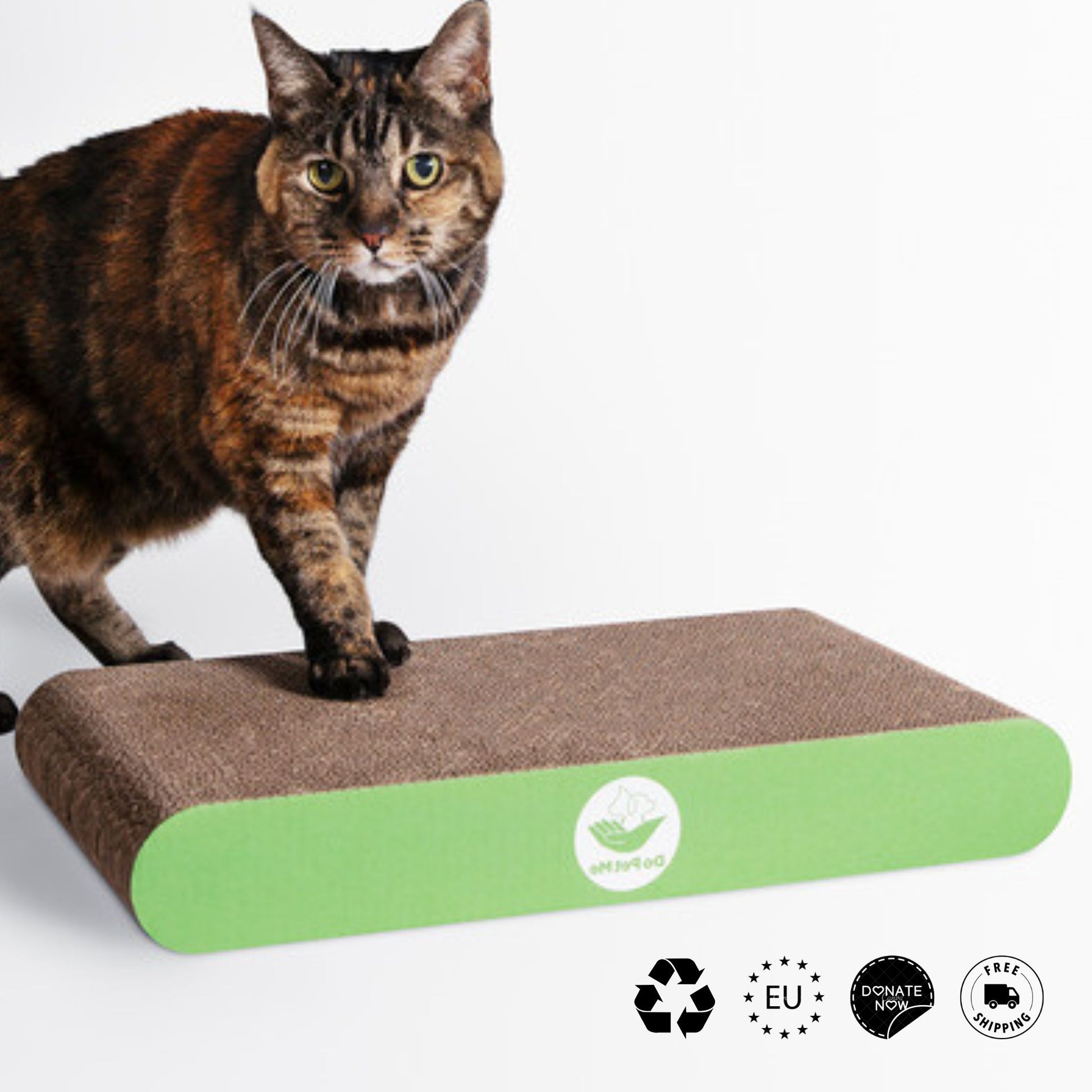 Katze mit flachen Kratzbrett