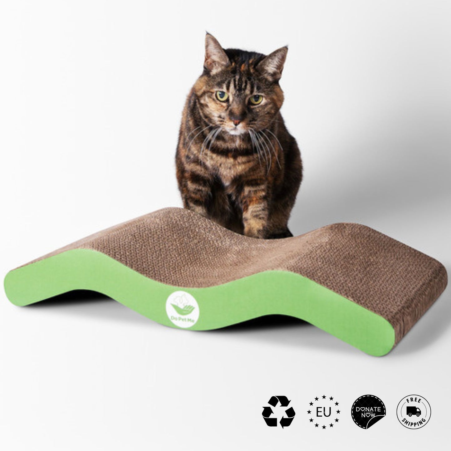 Katze mit Kratzbrett