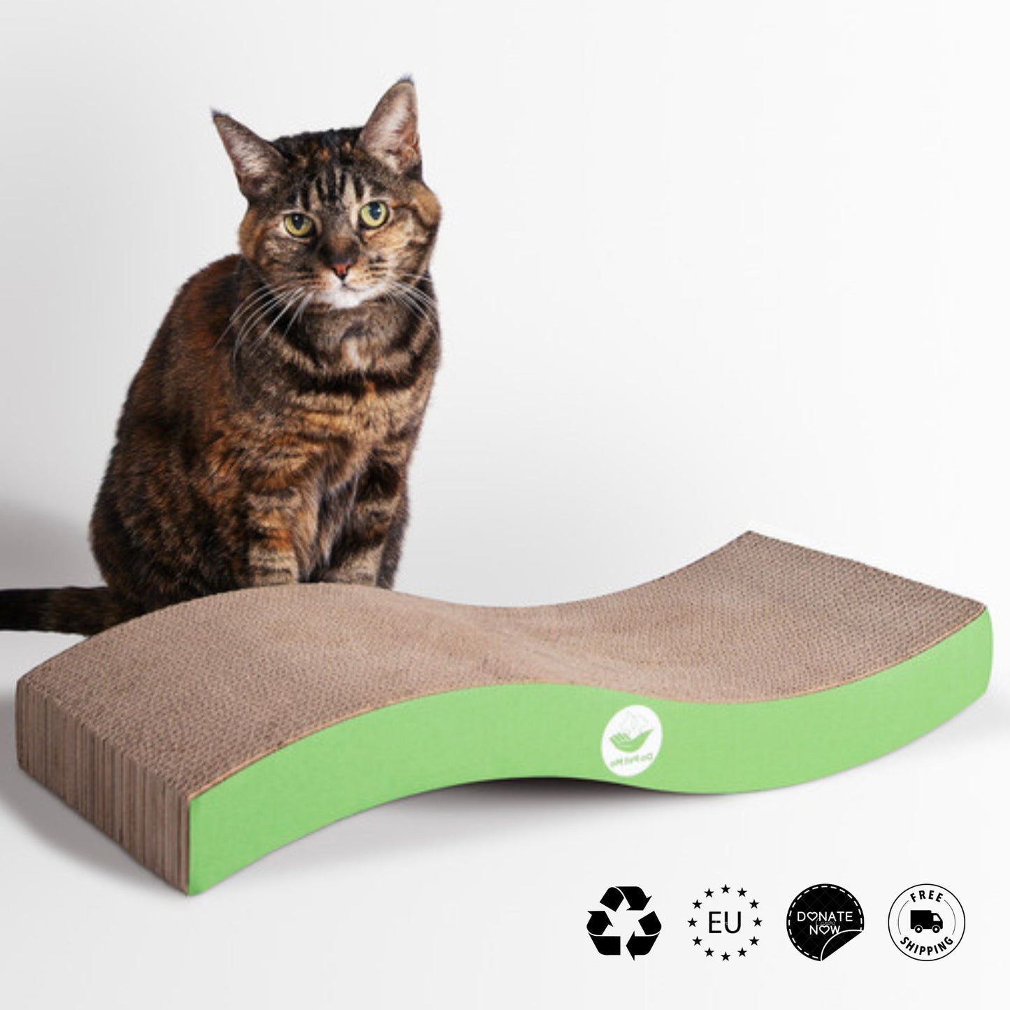 Katze mit gewellten Kratzbrett