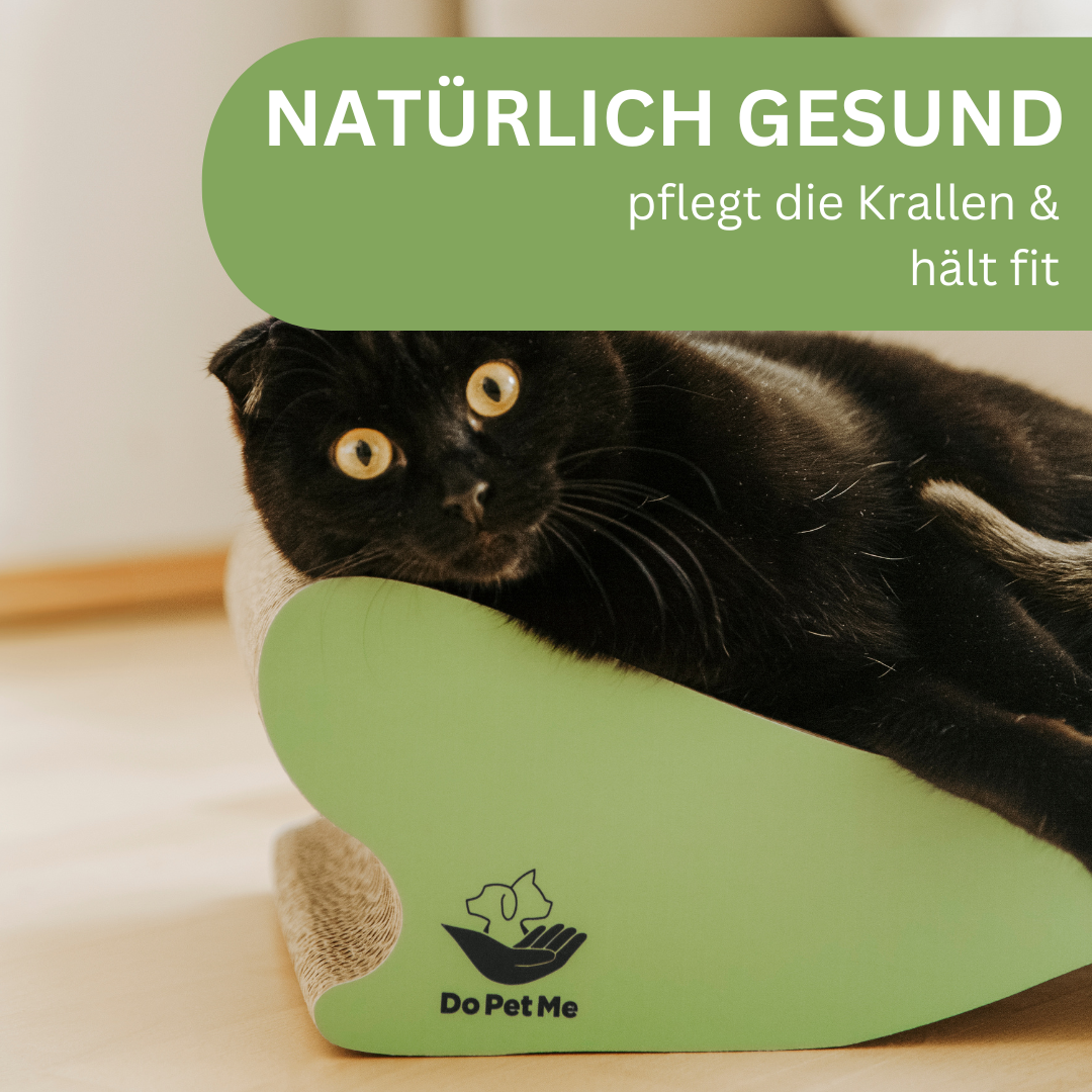 Schwarze Katze entspannt auf grünem Kratzmöbel aus Wellpappe mit Text: Natürlich gesund – pflegt die Krallen & hält fit.
