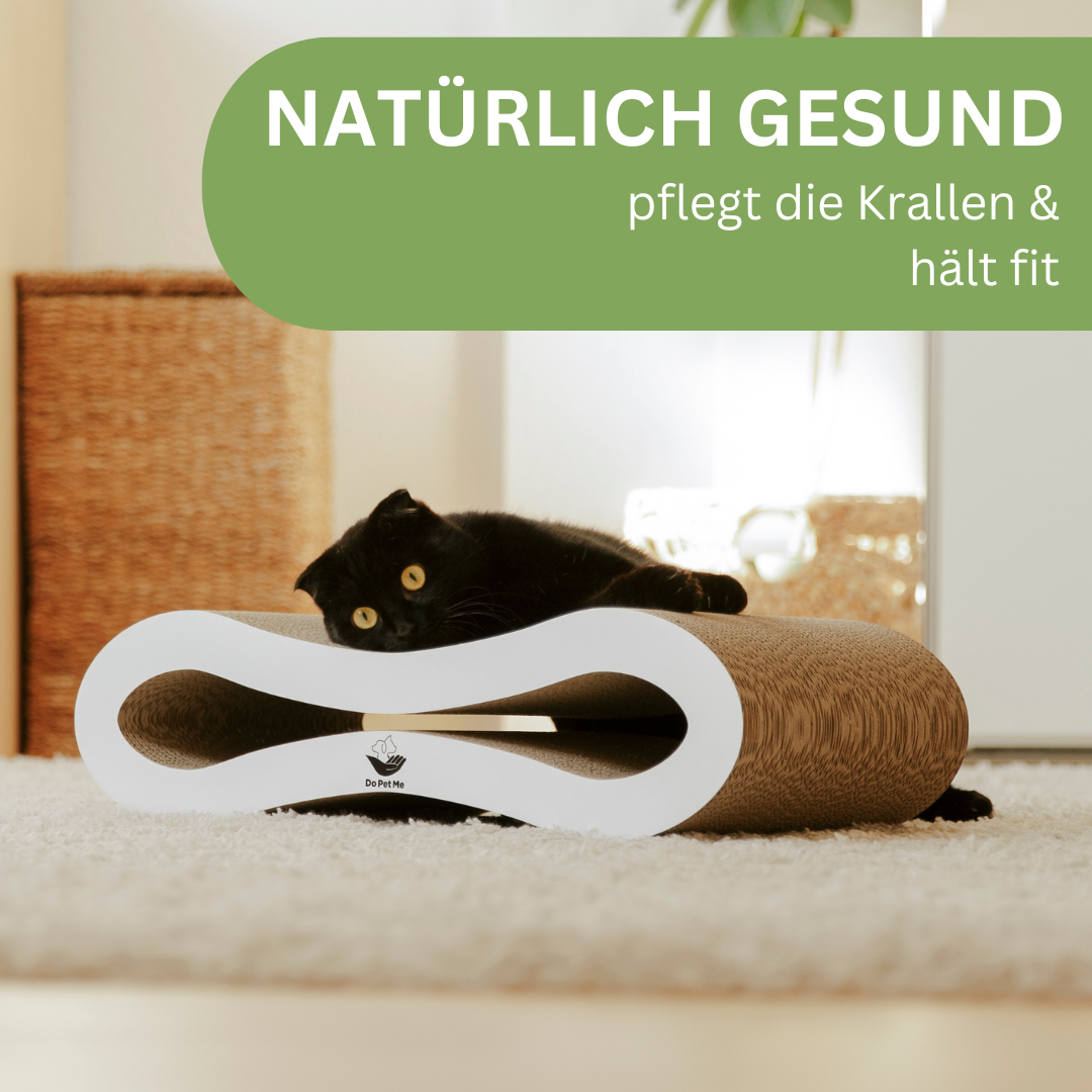 Schwarze Katze auf einem ergonomischen Kratzmöbel aus Wellpappe