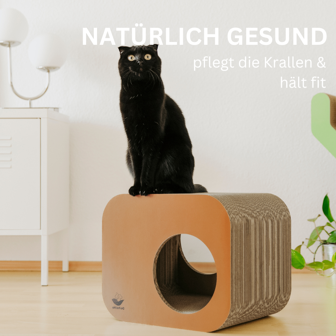 Schwarze Katze auf nachhaltigem Kratzmöbel aus Wellpappe