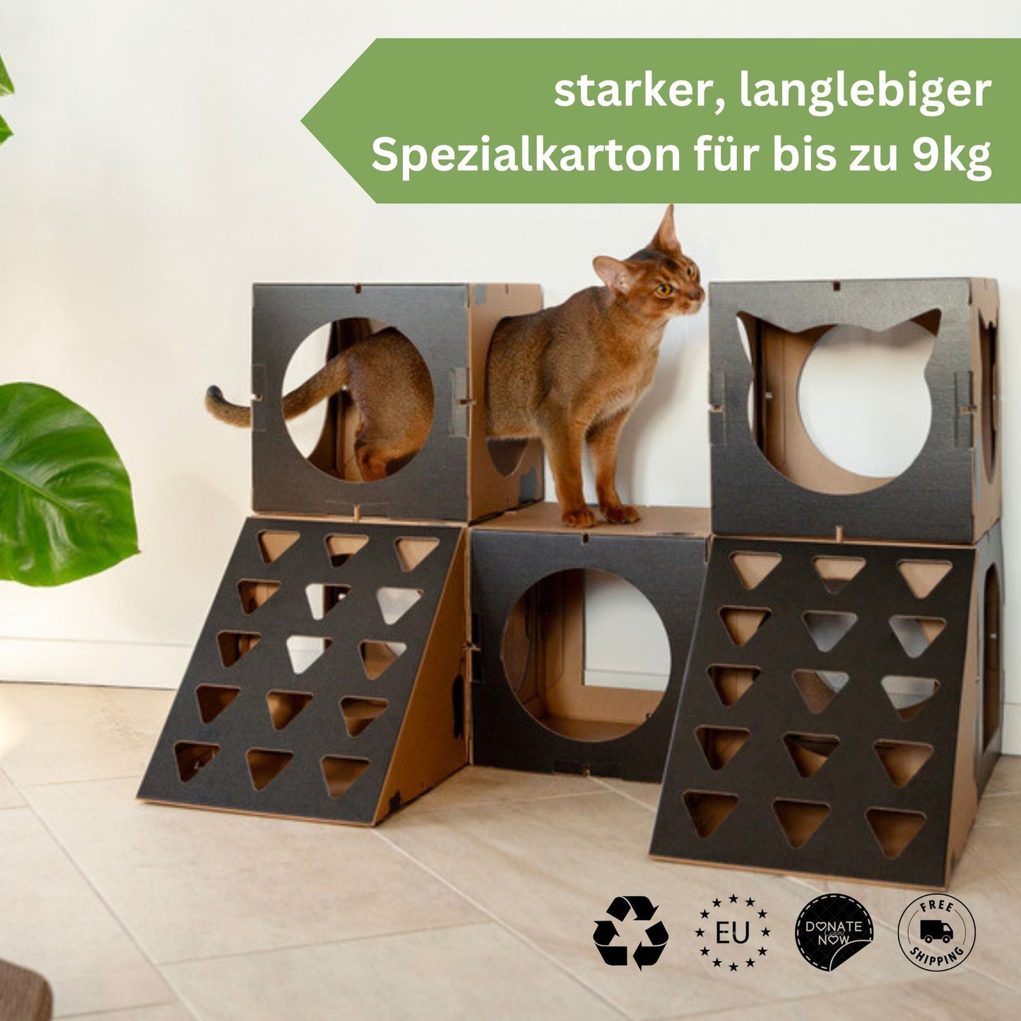 Katze sitzt in schwarz, braunen Katzenhaus