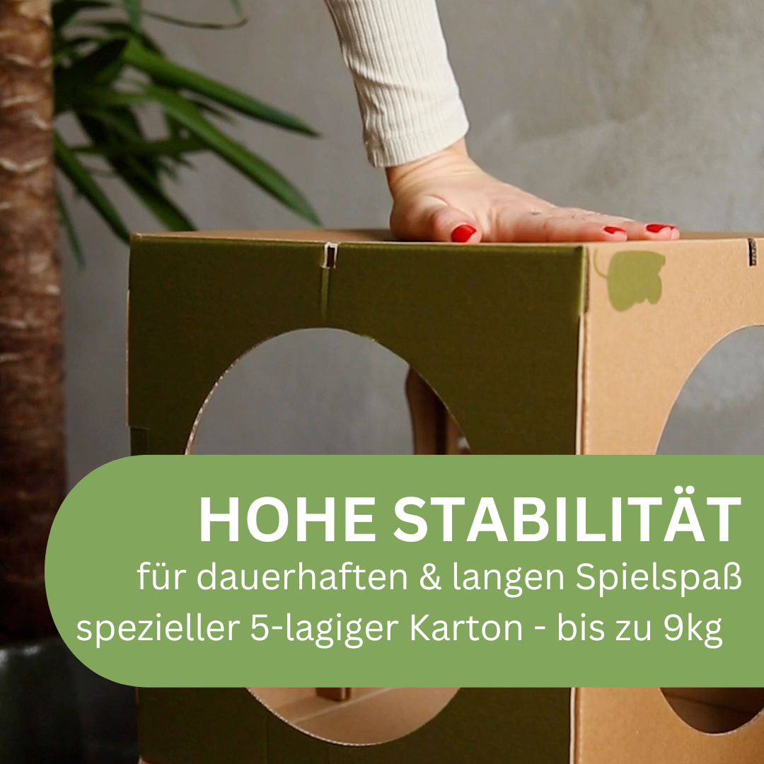 Modul eines Katzenhaus