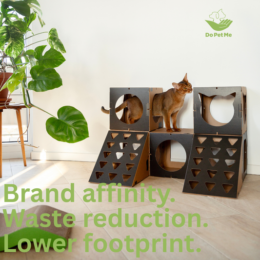 From packaging to purpose: give your box a second life. 🌍♻️🐱