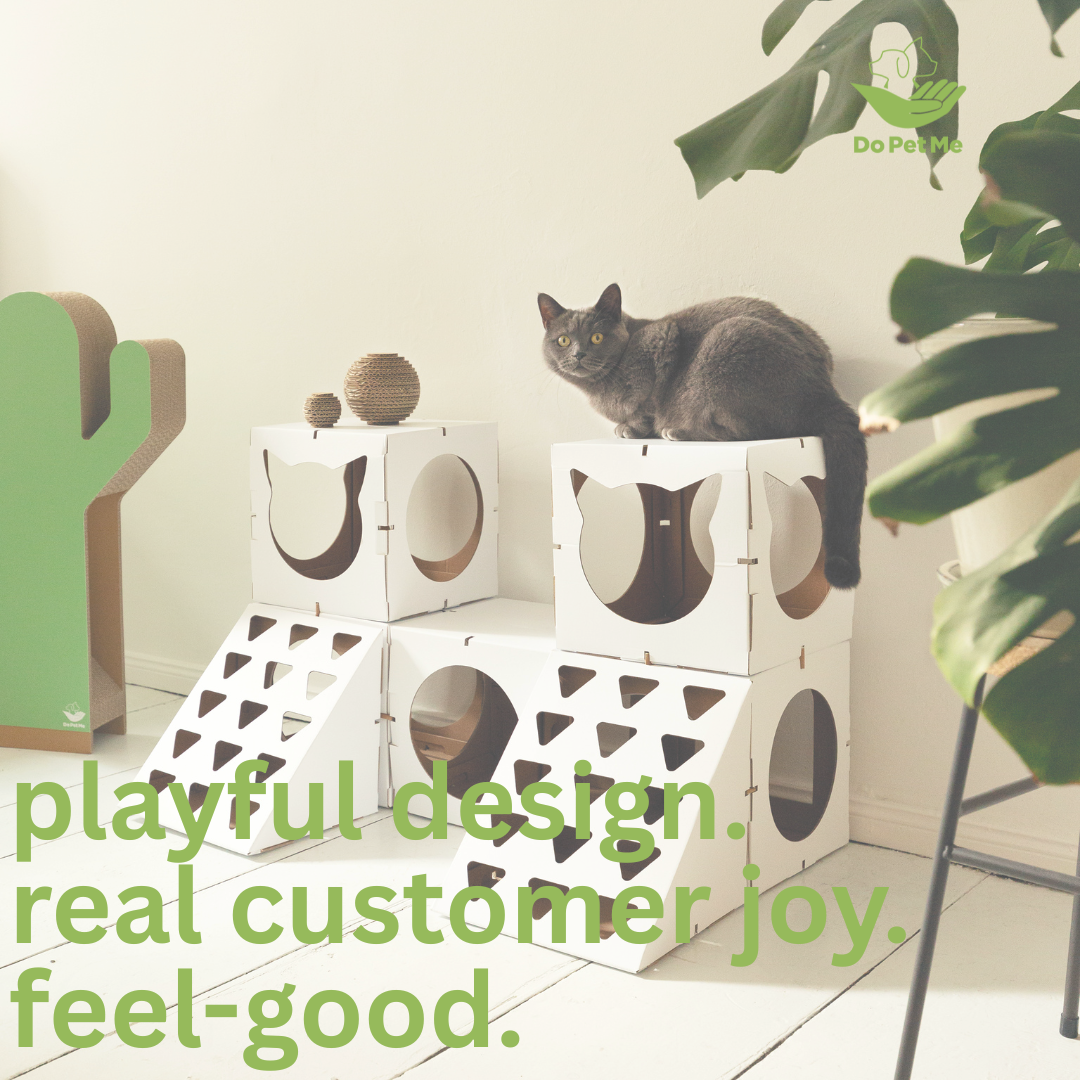 Packaging that earns headlines and hires. 📦🚀