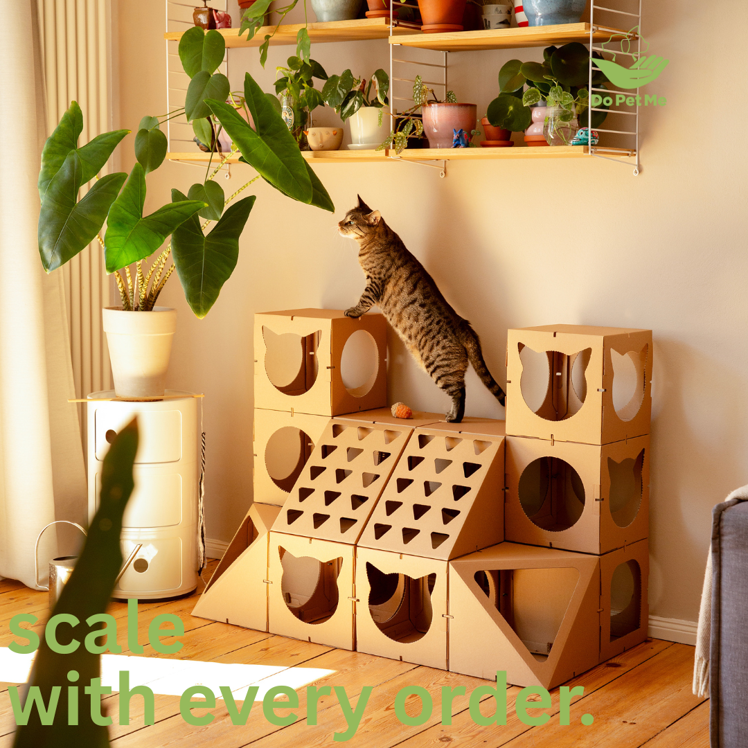 Stop renting reach. Start shipping it. 📦📈