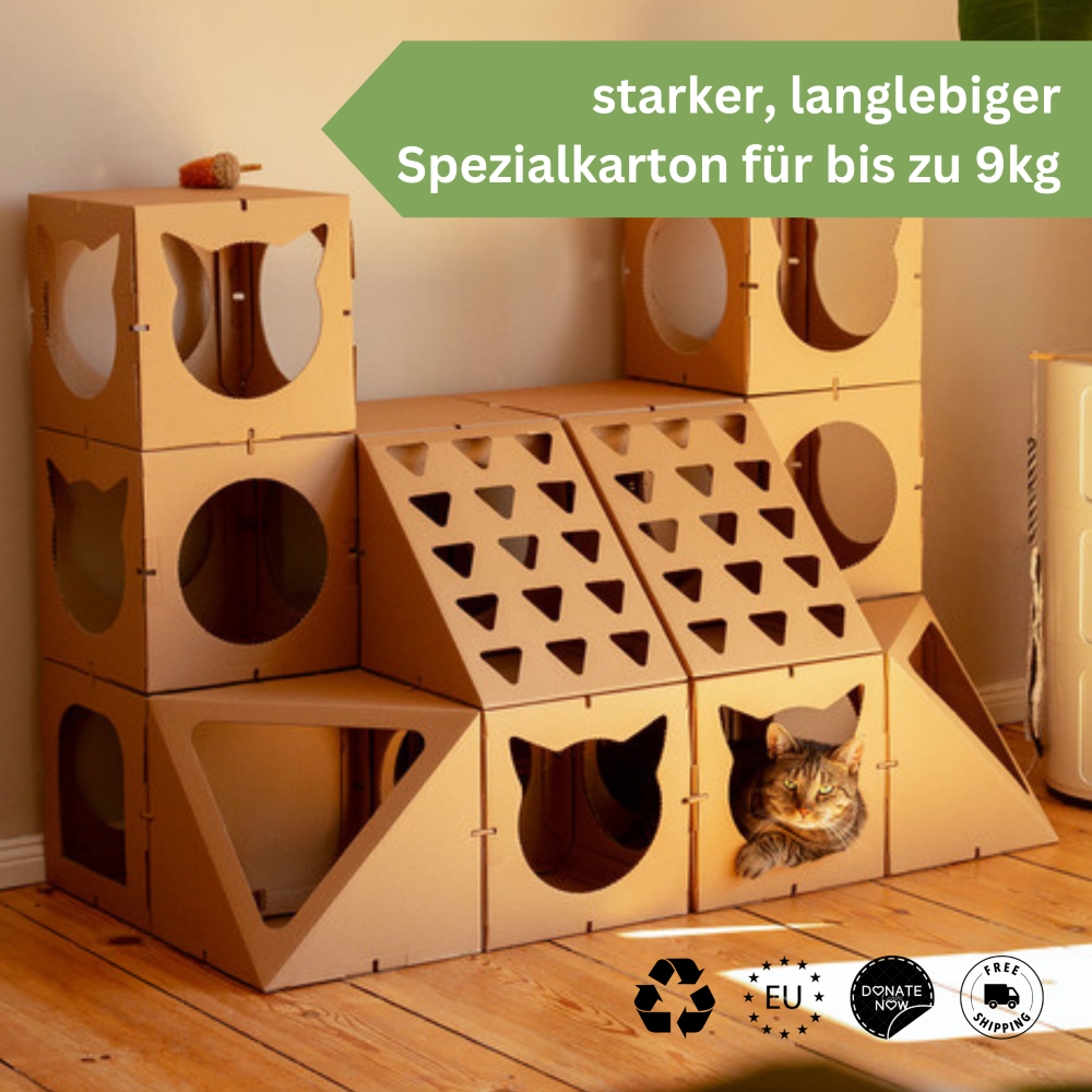 Die 5 wichtigsten Dinge, auf die du beim Kauf eines Katzenhauses achten musst