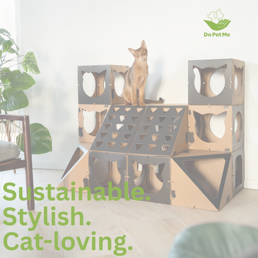 Your shipping box is your new media channel. 📦✨