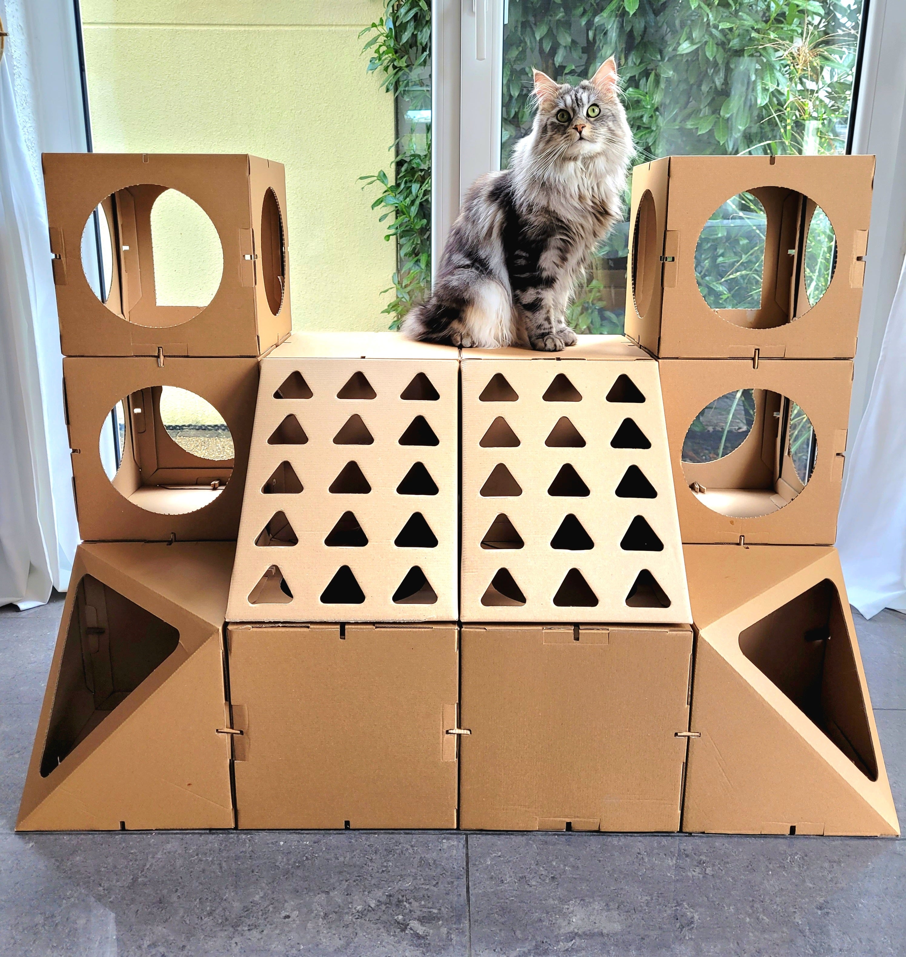 Schildpatt Katze sitzt auf einem Katzenhaus
