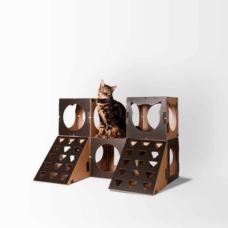 Wachstum nach Ihrem Bedarf