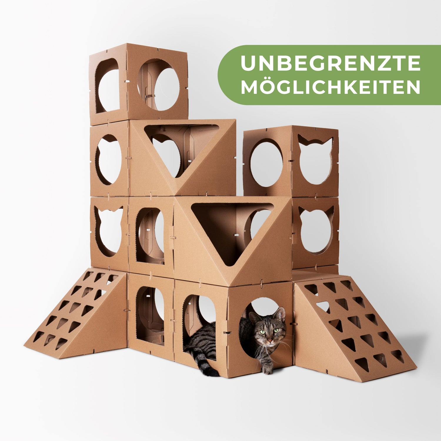 Katzenhaus aus Karton
