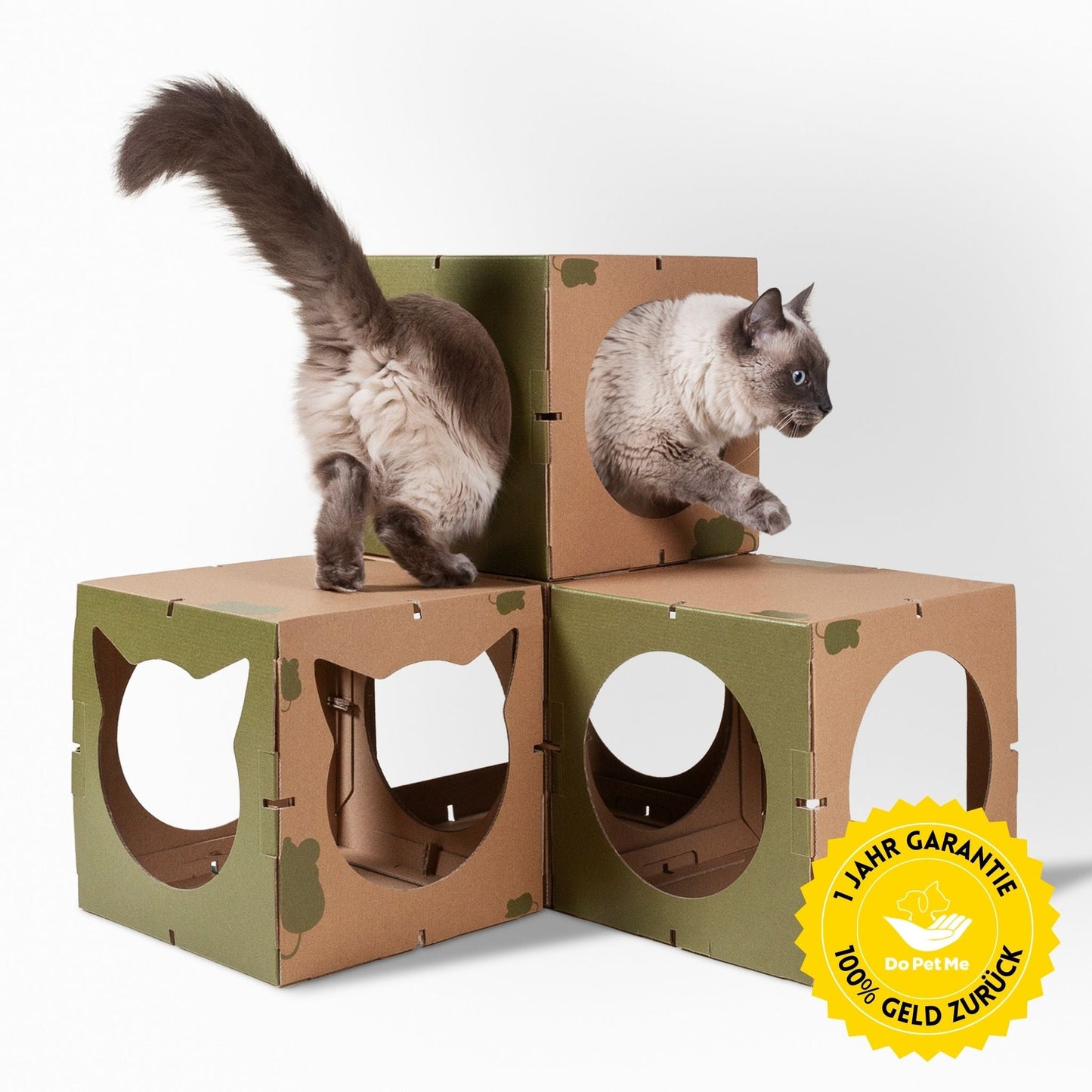 Grünes Kitten Castle aus Karton mit einer Katze, die im Katzenhaus sitzt – nachhaltiges Katzenmöbel für Spiel und Entspannung.