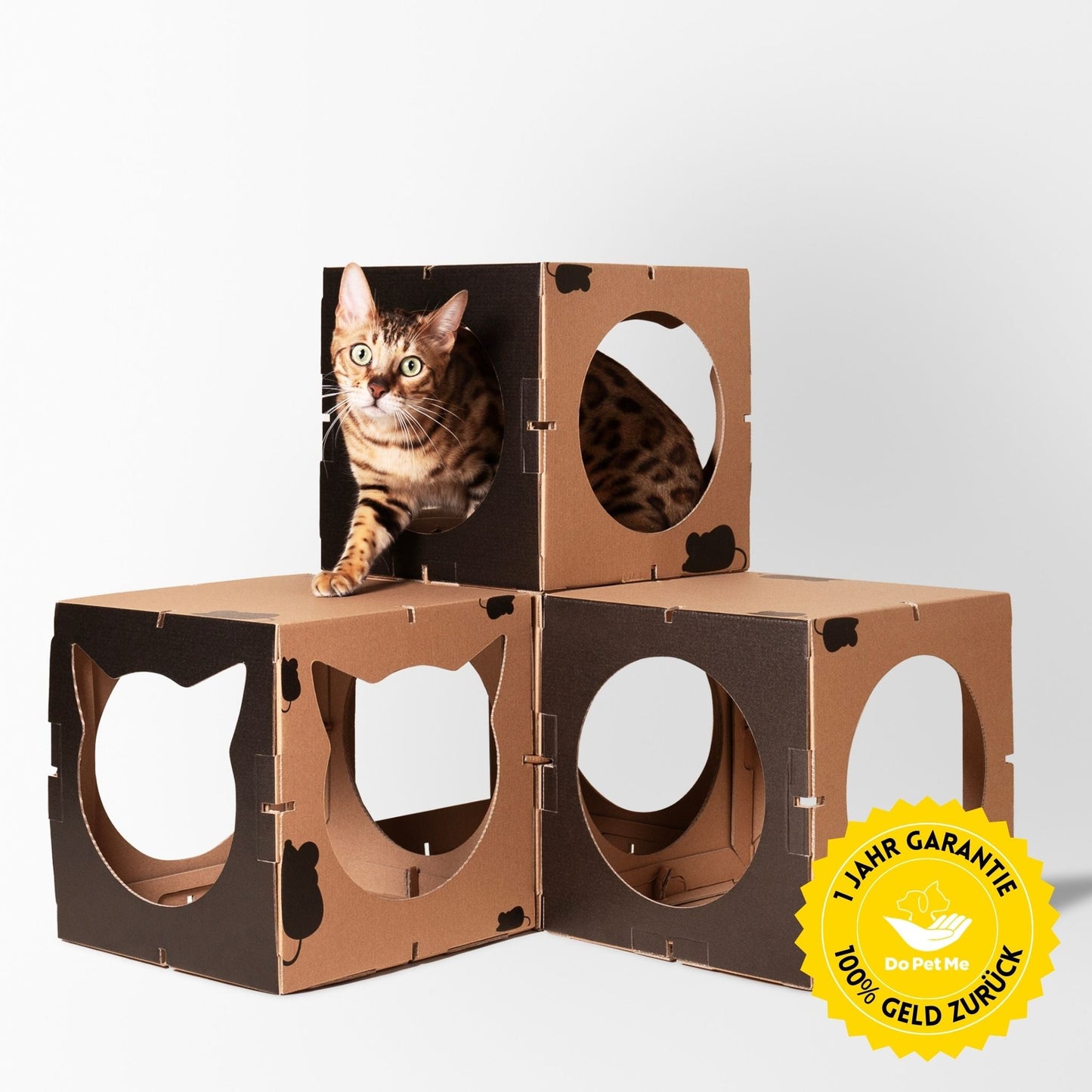 Schwarzes Kitten Castle aus recycelbarem Karton mit einer sitzenden Katze im Inneren. Nachhaltiges Katzenhaus für Komfort und Spielspaß.