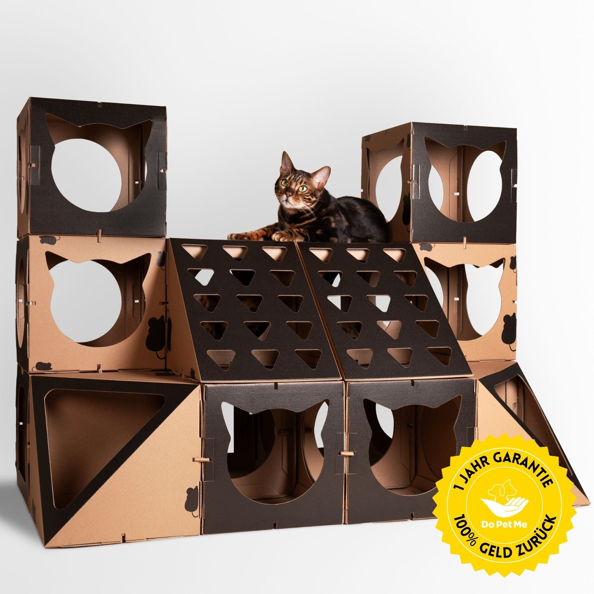 Schwarzes Royal Castle Katzenhaus aus recycelbarem Karton, in dem eine Katze gemütlich sitzt. Stilvolles, umweltfreundliches Design, idealer Rückzugsort für Katzen.