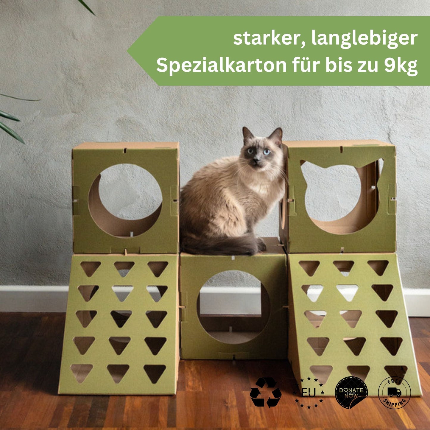 Katze sitzt auf braun, grünen Katzenhaus aus Karton